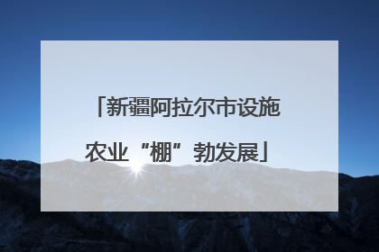新疆阿拉尔市设施农业“棚”勃发展