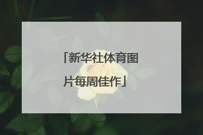 新华社体育图片每周佳作