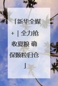 新华全媒+｜全力抢收夏粮 确保颗粒归仓
