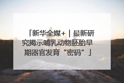新华全媒+｜最新研究揭示哺乳动物胚胎早期器官发育“密码”