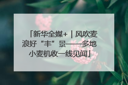 新华全媒+｜风吹麦浪好“丰”景——多地小麦机收一线见闻