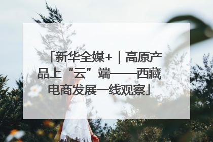 新华全媒+｜高原产品上“云”端——西藏电商发展一线观察