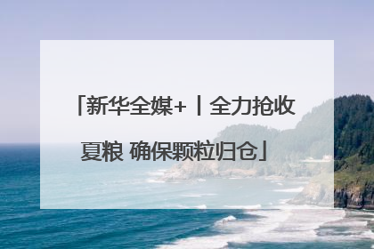 新华全媒+丨全力抢收夏粮 确保颗粒归仓