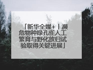 新华全媒+丨濒危物种绿孔雀人工繁育与野化放归试验取得关键进展