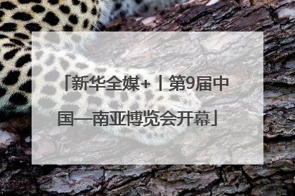 新华全媒+丨第9届中国—南亚博览会开幕