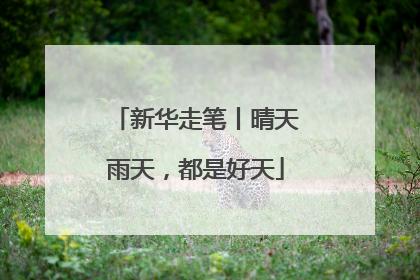新华走笔丨晴天雨天，都是好天