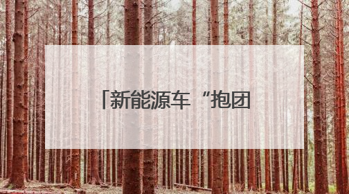 新能源车“抱团”出海，长三角打造世界级IP