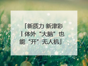 新质力 新津彩丨体外“大脑”也能“开”无人机