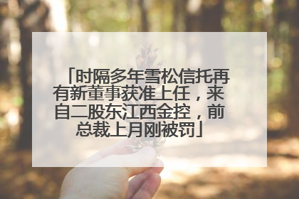 时隔多年雪松信托再有新董事获准上任，来自二股东江西金控，前总裁上月刚被罚