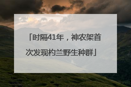 时隔41年，神农架首次发现杓兰野生种群