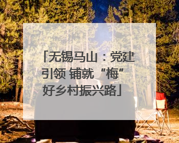 无锡马山：党建引领 铺就“梅”好乡村振兴路