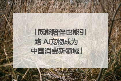 既能陪伴也能引路 AI宠物成为中国消费新领域