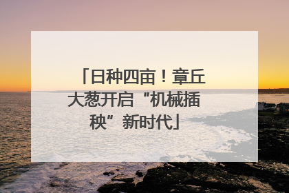 日种四亩！章丘大葱开启“机械插秧”新时代