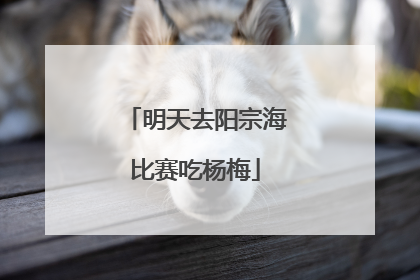 明天去阳宗海比赛吃杨梅