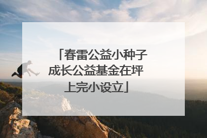春雷公益小种子成长公益基金在坪上完小设立