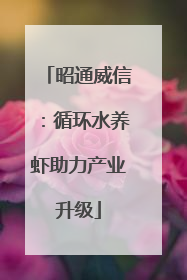 昭通威信：循环水养虾助力产业升级
