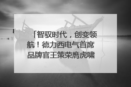 智驭时代，创变领航！德力西电气首席品牌官王策荣膺虎啸奖年度品牌人物