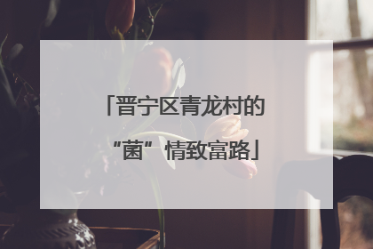 晋宁区青龙村的“菌”情致富路