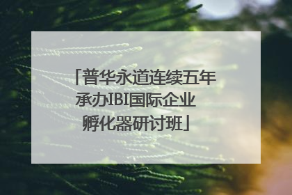 普华永道连续五年承办IBI国际企业孵化器研讨班