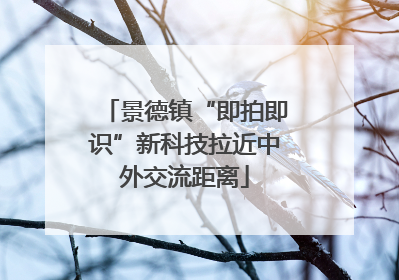 景德镇“即拍即识”新科技拉近中外交流距离