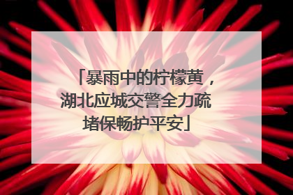 暴雨中的柠檬黄，湖北应城交警全力疏堵保畅护平安