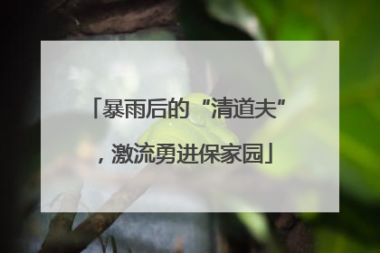 暴雨后的“清道夫”，激流勇进保家园