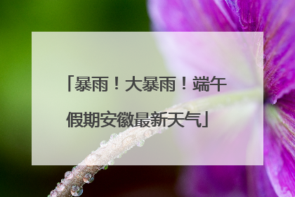 暴雨！大暴雨！端午假期安徽最新天气