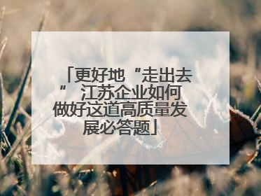 更好地“走出去” 江苏企业如何做好这道高质量发展必答题