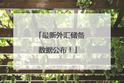 最新外汇储备数据公布！