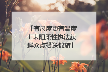 有尺度更有温度！耒阳柔性执法获群众点赞送锦旗