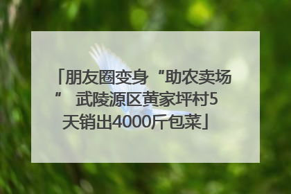 朋友圈变身“助农卖场” 武陵源区黄家坪村5天销出4000斤包菜