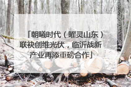朝曦时代（曜灵山东）联袂创维光伏，临沂战新产业再添重磅合作