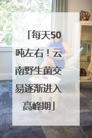 每天50吨左右！云南野生菌交易逐渐进入高峰期