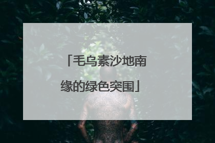 毛乌素沙地南缘的绿色突围