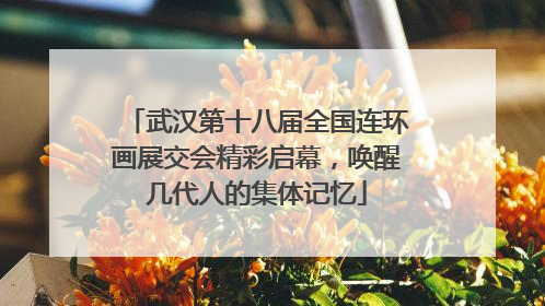 武汉第十八届全国连环画展交会精彩启幕，唤醒几代人的集体记忆