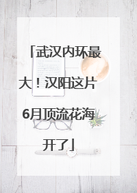 武汉内环最大！汉阳这片6月顶流花海开了