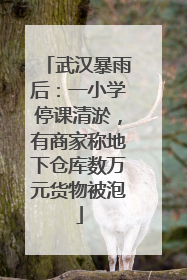 武汉暴雨后：一小学停课清淤，有商家称地下仓库数万元货物被泡