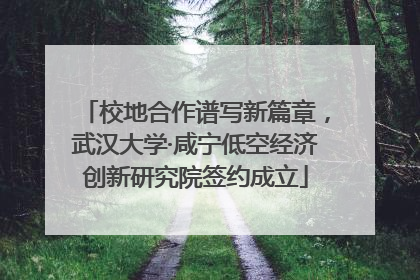 校地合作谱写新篇章，武汉大学·咸宁低空经济创新研究院签约成立