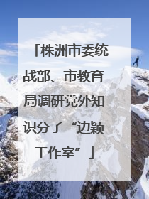 株洲市委统战部、市教育局调研党外知识分子“边颖工作室”