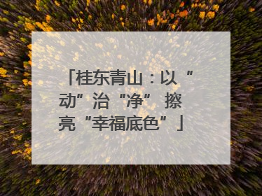 桂东青山：以“动”治“净” 擦亮“幸福底色”