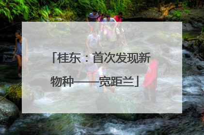 桂东：首次发现新物种——宽距兰