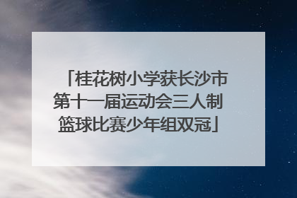 桂花树小学获长沙市第十一届运动会三人制篮球比赛少年组双冠