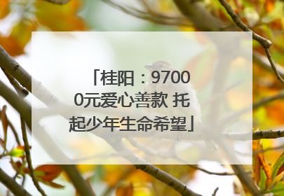 桂阳：97000元爱心善款 托起少年生命希望