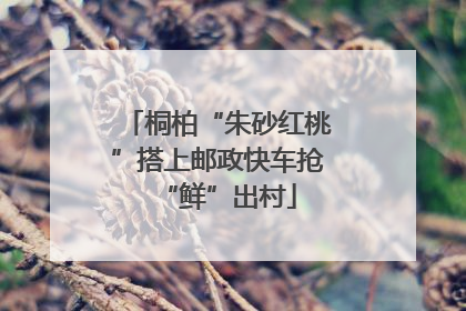 桐柏“朱砂红桃”搭上邮政快车抢“鲜”出村