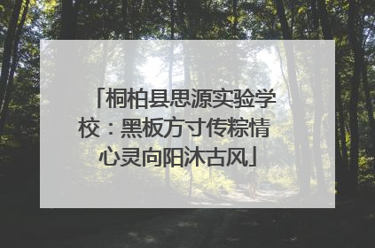 桐柏县思源实验学校：黑板方寸传粽情 心灵向阳沐古风