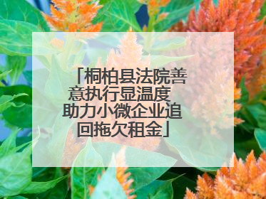桐柏县法院善意执行显温度 助力小微企业追回拖欠租金