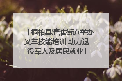 桐柏县清淮街道举办叉车技能培训 助力退役军人及居民就业