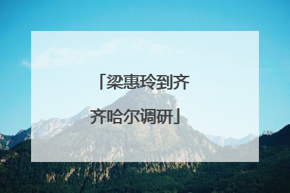 梁惠玲到齐齐哈尔调研