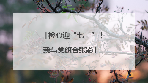 检心迎“七一”！我与党旗合张影