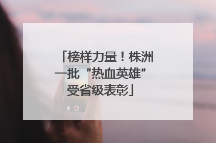 榜样力量！株洲一批“热血英雄”受省级表彰